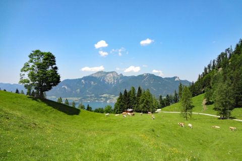 Unspoilt hiking trails at Scharten alp above lake Wolfgangsee