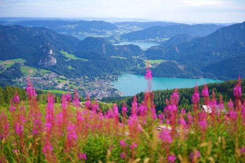 View of the Wolfgangsee from the Zwölferhorn