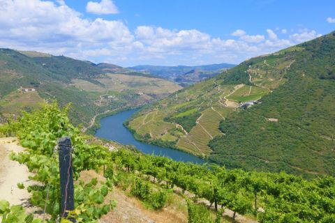 Well maintained walking paths along the Douro river