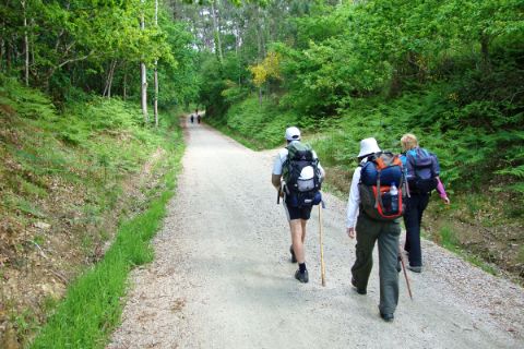Pilgrimage group on the way in the forest