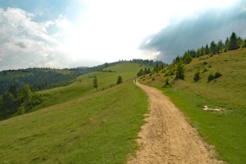 Hiking path in Transylvania
