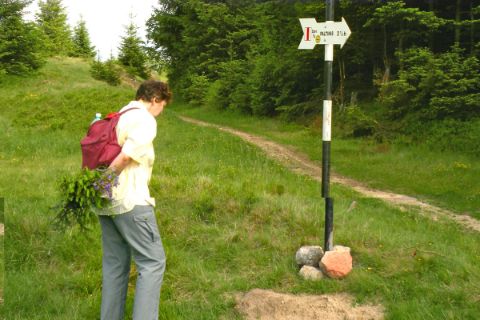 Guidepost in Transylvania
