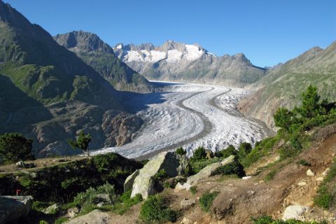View to the Aletsch Glacier