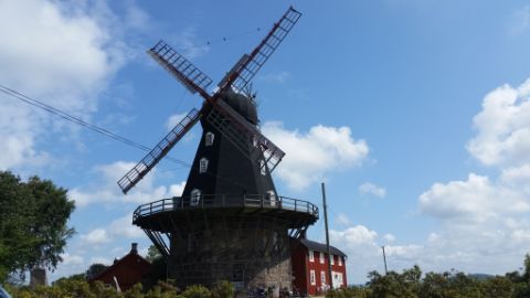 schwarze Windmühle