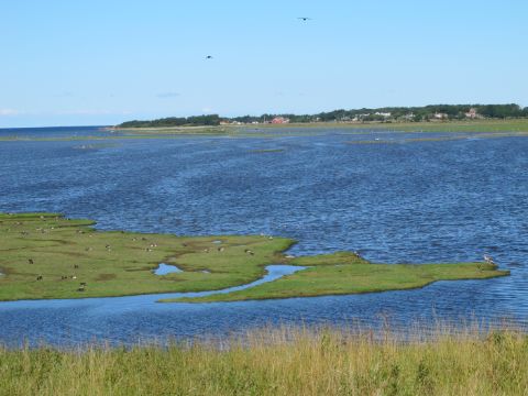 Wundervoller See in einem Vogelschutzgebiet in Schweden.