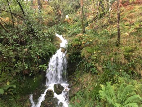 Kleiner Wasserfall in einem Wald. West-Highland-Way. Wanderferien mit Eurotrek.