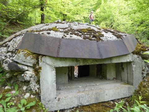Geschützstellung in der Natur Albaniens.
