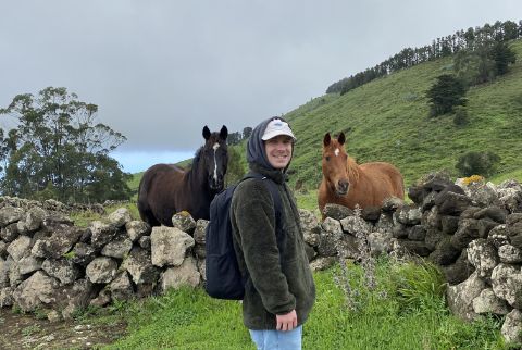 Zwei Pferde auf einer Weide auf El Hierro, die uns bei der 2. Wanderetappe begegnet sind. 