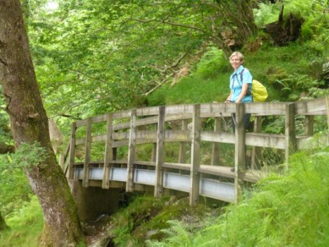 Eine Wanderin steht auf einer leicht gebogenen Holzbrücke die in einem Wald steht.