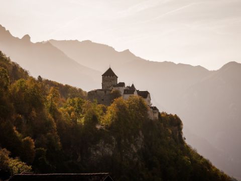 Le château de Vaduz se dresse au milieu des forêts, sous le soleil.