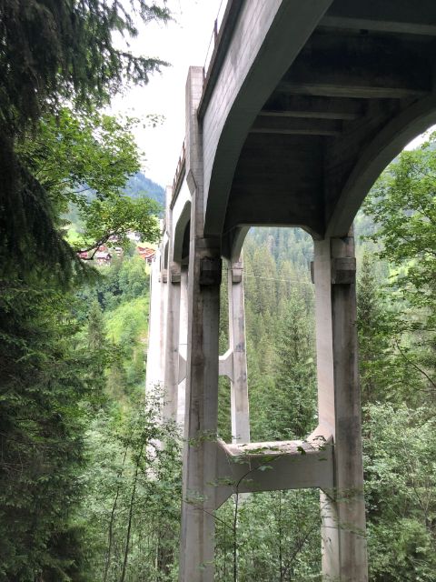 In Mitten vom Wald sieht man die hohen Pfosten des Langwieser Viadukts. 