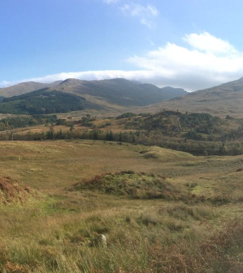 Panoramabild mit Blick auf den West Highland-Way.