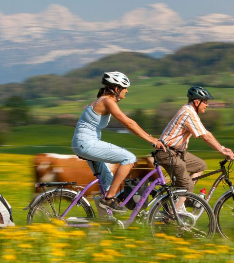 Un couple de parents se déplace rapidement dans un paysage de prairies. Une remorque est attachée au vélo pour les enfants.