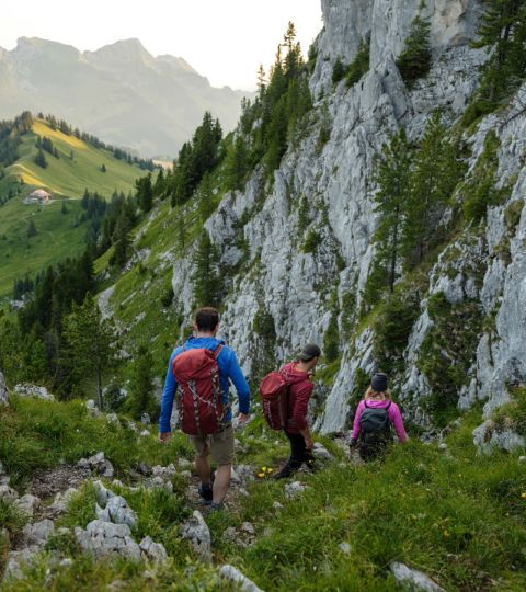 Hikers walk down the path into the Gruyère region.