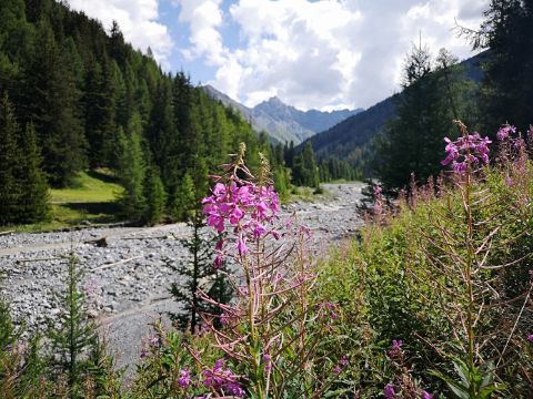 Beautiful natural panorama with flowers in the foreground. National park bike. Cycling holidays with Eurotrek.