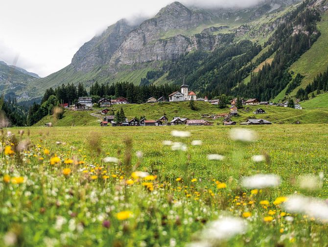 On peut trouver de vastes paysages de prairies sur le plus grand alpage de Suisse, l'Urnerboden, au col du Klausen.