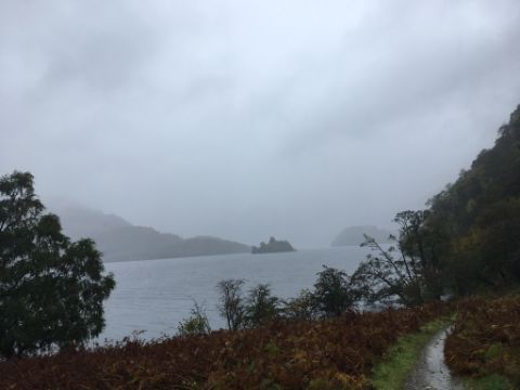 Blick auf den Loch Lomond währenddem West-Highland-Way. Wanderferien mit Eurotrek.