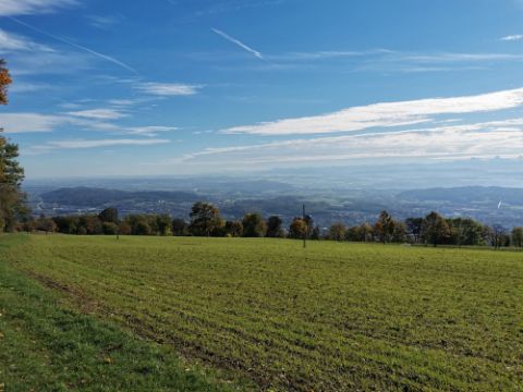 Ausblick über ein grünes Feld auf den Bielersee, das Mittelland und die Alpen im Hintergrund. 