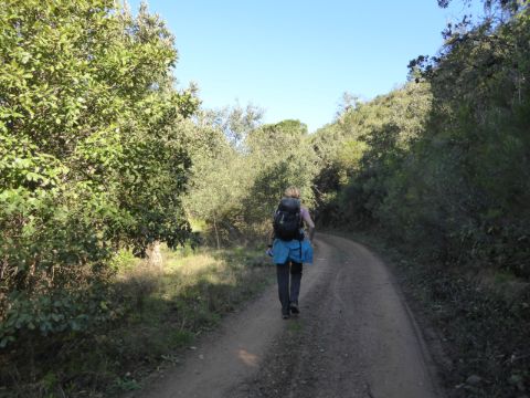 Wanderin ganz alleine auf einem Naturweg zwischen Bäumen und Büschen.