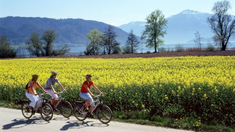 Trois cyclistes roulent sur une route asphaltée devant un champ de colza avec de petites montagnes en arrière-plan.