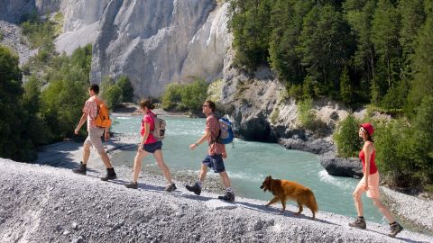 Quatre randonneurs accompagnés d'un beau chien à poils longs marchent sur un étroit chemin de pierres naturelles.