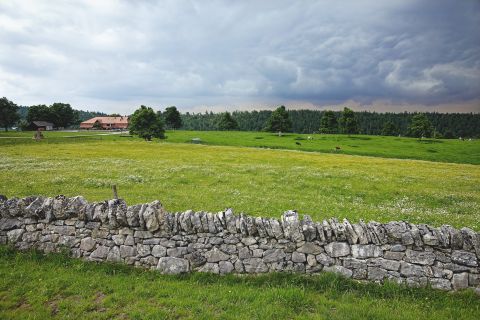 Trockensteinmauern im Naturpark Chasseral.