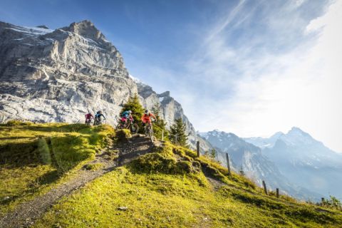 Vier Mountainbiker auf einem Pfad in den Bergen