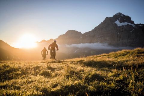 Cyclist in the sunset. Alpine bike. Cycling holidays with Eurotrek.