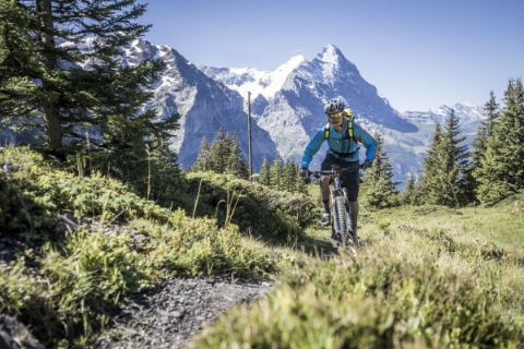 Mountainbiker fährt über eine Bergwiese mit einem fantastischen Bergpanorama im Hintergrund.