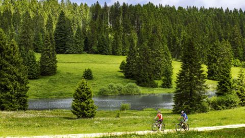 Two cyclists ride on the cycle paths next to a river in the Jura. There are lots of conifers in the background.