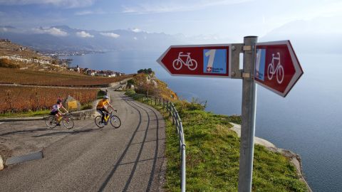 Panneau indicateur et le lac Léman en arrière-plan. Route du Rhône. Vacances à vélo avec Eurotrek.