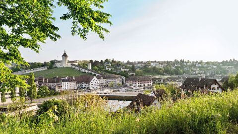 Ville de Schaffhouse sur le Rhin