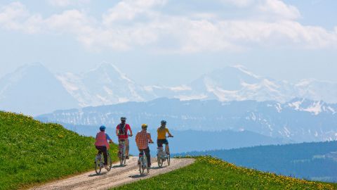 Quatre cyclistes profitent de la vue sur les montagnes depuis l'Emmental lors de leur randonnée à vélo sur la route du cœur.