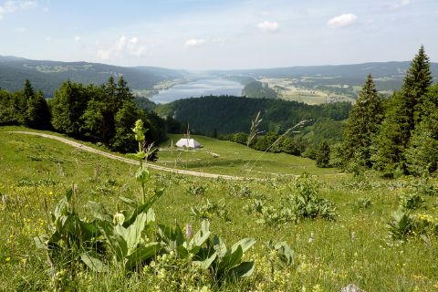 Blick auf den See im Jura vaudois