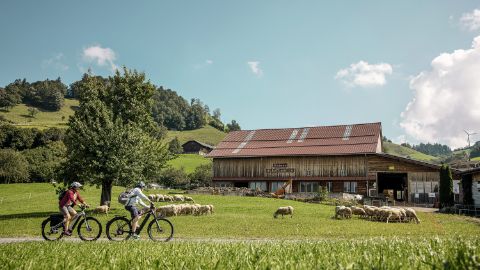 Cycling in the Entlebuch. Cycling holidays with Eurotrek.