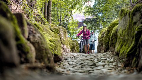 Two mountain bikers push their bikes along the narrow road in the forest.