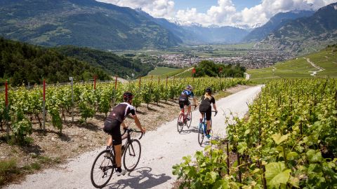 Radtour zwischen Weinreben mit Ausblick im Wallis