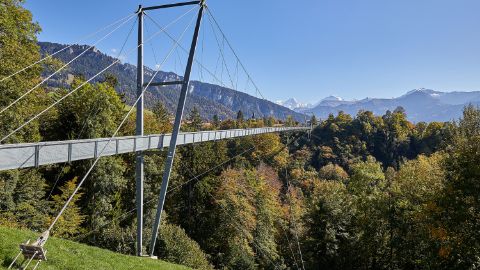 Steel bridge in nature