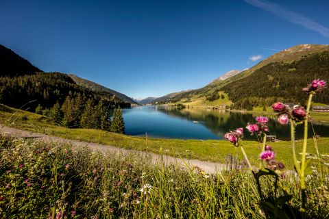 Un lac à Davos offre un lieu de détente optimal lors d'une journée d'été.