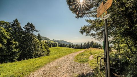 Natural landscapes await you on the Jura High Trail.