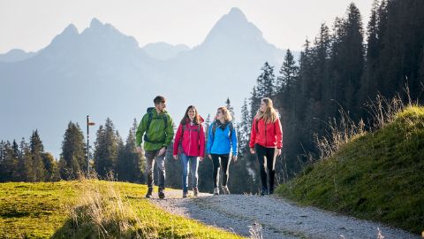 Weitläufige Wiesenlandschaften lassen sich auf der grössten Alp der Schweiz, dem Urnerboden, auf dem Klausenpass finden.