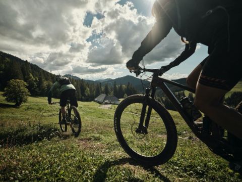 Mountainbiker dans une prairie de la belle région de Fribourg. Vacances à vélo avec Eurotrek.