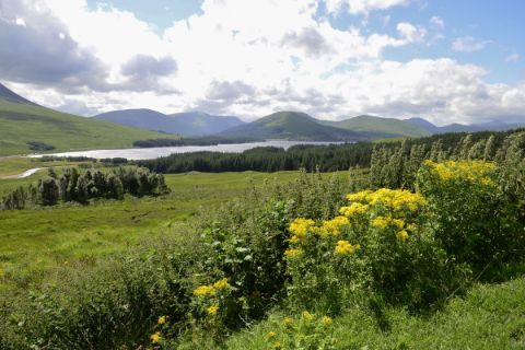 Malerische Landschaft in Schottland