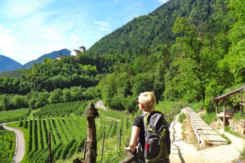Pure hiking joy through the blooming orchards of Southern Tyrol