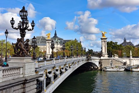 Bridge Pont Alexandre in Paris