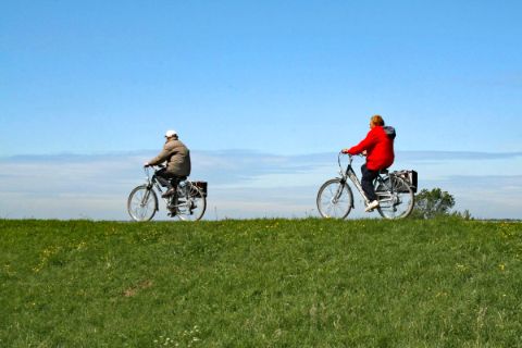Radfahrer in Zeeland 
