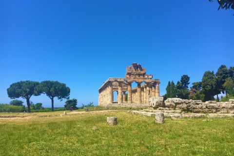 Die Ruine des griechischen Tempels Paestum
