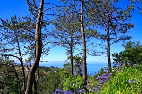 Imposanter Panoramablick auf die Küste Madeiras
