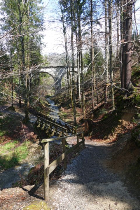 Sicht auf sonnigen Waldabschnitt mit Brücke und Wandersteg