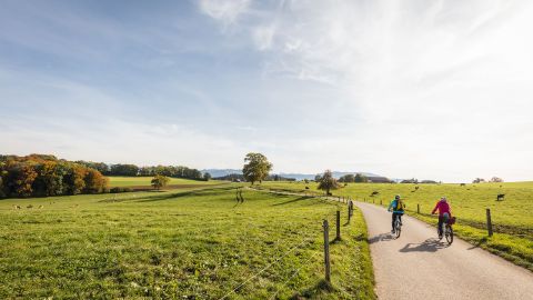 Zwei Biker fahren auf einer Nebenstrasse durch die Grüne Landschaft, bei leicht bewölkten Himmel.
